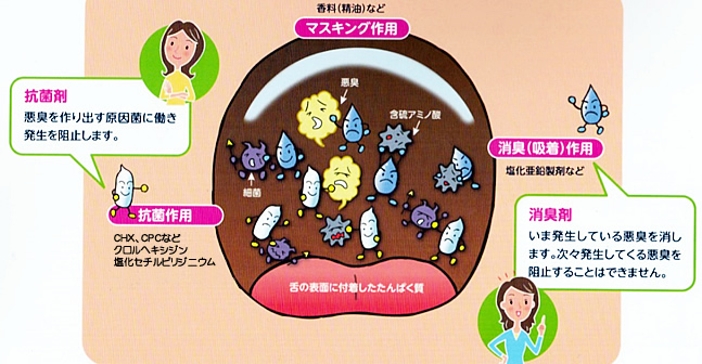 口臭の1日の変化